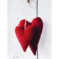 Obrzy na plátně - Scarlet Hearts