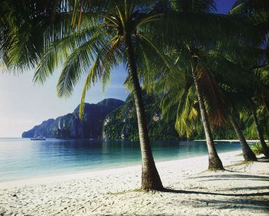 tonsai-beach-phi-phi-islands