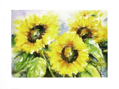 sunflowers-ii