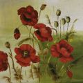 Katharina Schöttler - Red Poppies Composition I