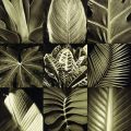 Caroline Kelly - Tropical Leaves II