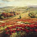 Roberto Lombardi - Red Poppy Panorama