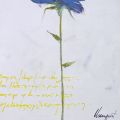 Llompart - Flores Azules III