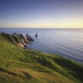 Poop-Hackner - Cape Kidnappers