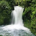 Sigurd Elert - Geroldsauer Wasserfall