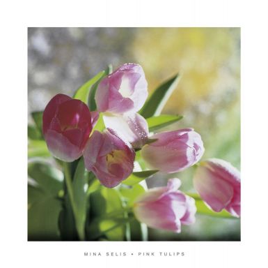 pink-tulips