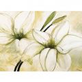 Heidi Gerstner - White Lilies I