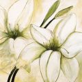 Heidi Gerstner - White Lilies