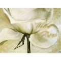 Heidi Gerstner - White Roses 2