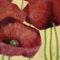 Katharina Reichert - Squared Poppies III