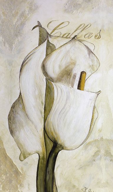 standing-calla