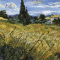 Vincent van Gogh - Campo di grano