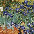 Vincent van Gogh - Iris I