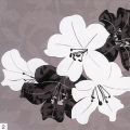 Kate Knight - Monochrome Lily Collage