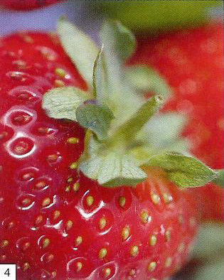 strawberry