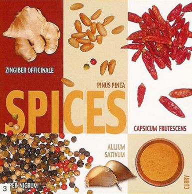 spice-collage
