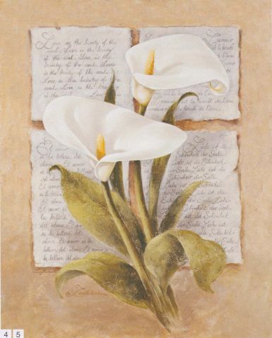 calla-lilly-poetry