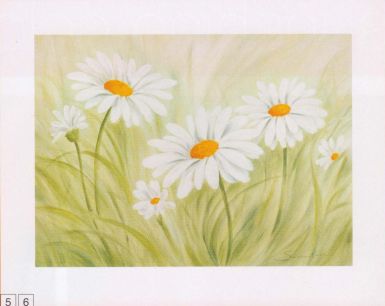 fun-daisies