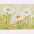 Susanne Bach - Fun Daisies