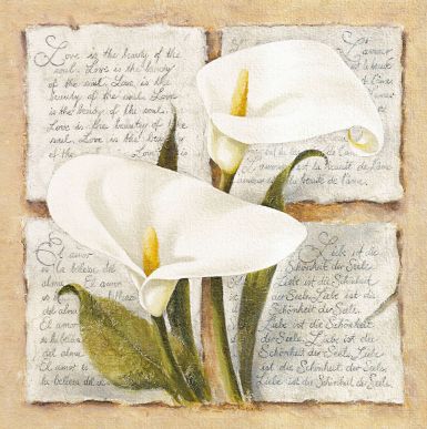 calla-lily-poetry