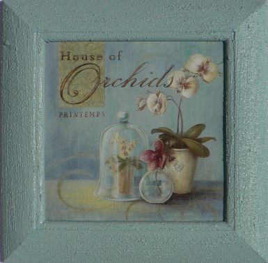 obrazy-house-of-orchids