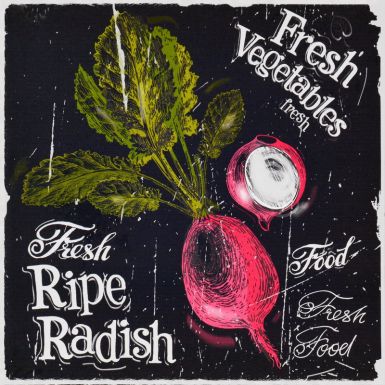 obrazy-na-platne-ripe-radish